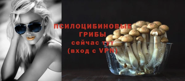 марки lsd Горнозаводск