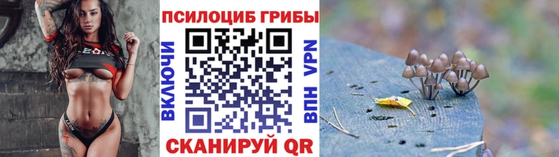 Псилоцибиновые грибы MAGIC MUSHROOMS  Купить закладки  Давлеканово 