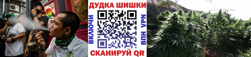 Купить закладки  Давлеканово  Бошки Шишки ГИДРОПОН 